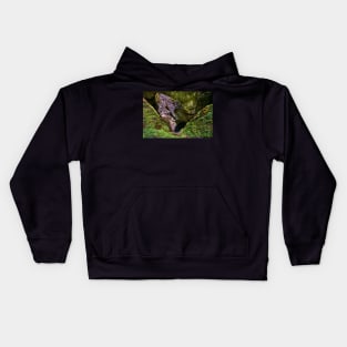 Avenul Gemanata sinkhole in Romania Kids Hoodie